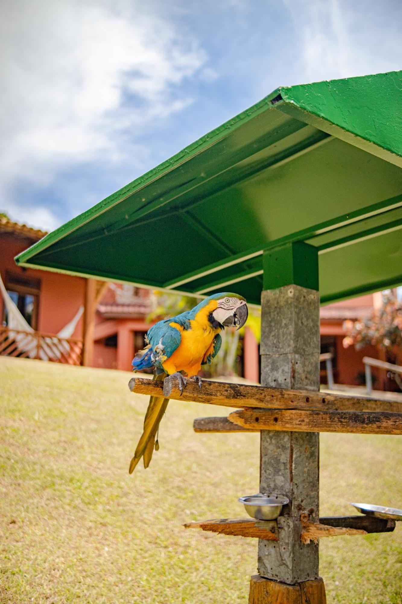 Hotel Vale Do Jiquirica ภายนอก รูปภาพ