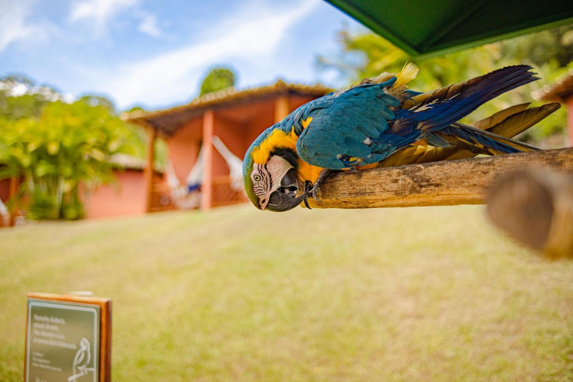 Hotel Vale Do Jiquirica ภายนอก รูปภาพ